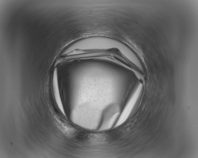 X0000082710107200702161826