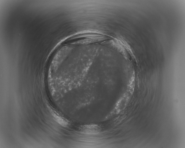 X0000082710108200702161826