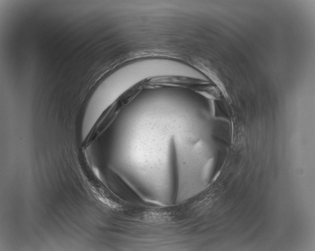 X0000082710109200702161826