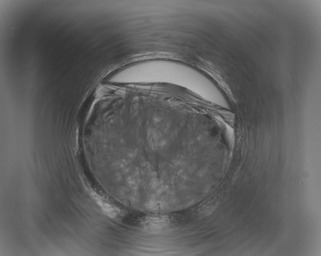 X0000082710110200702161826