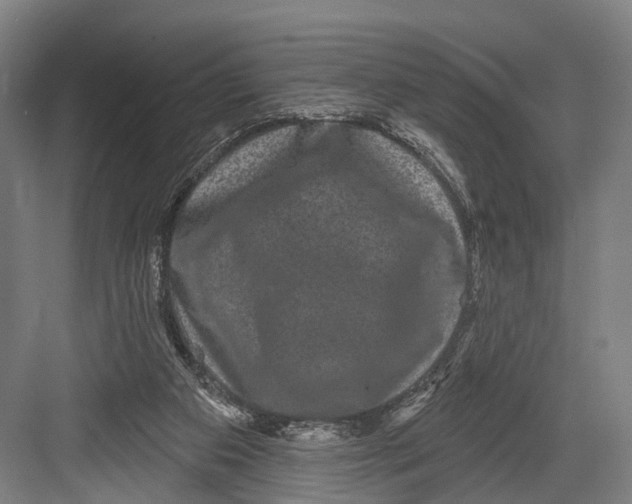 X0000082710113200702161826