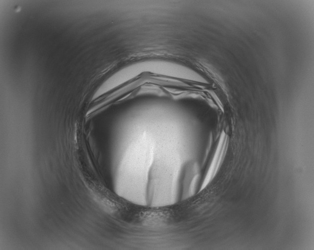 X0000082710115200702161826