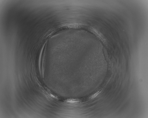 X0000082710117200702161825