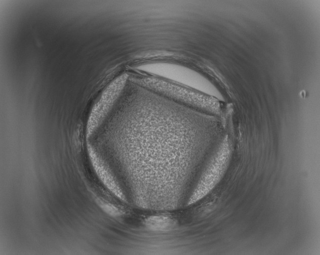 X0000082710119200702161825