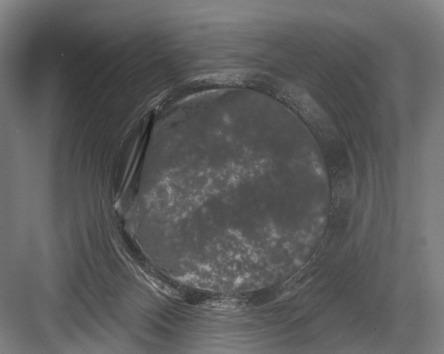 X0000082710120200702161825