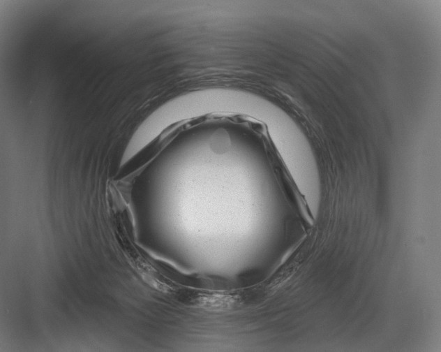 X0000082710125200702161825