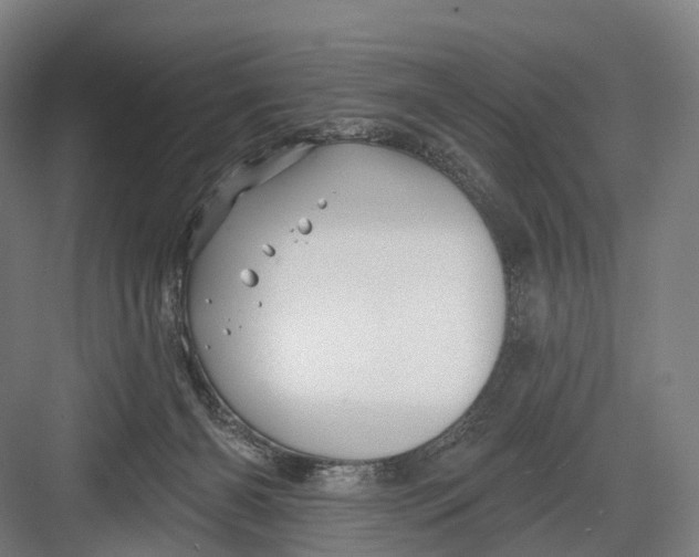 X0000082710126200702161825