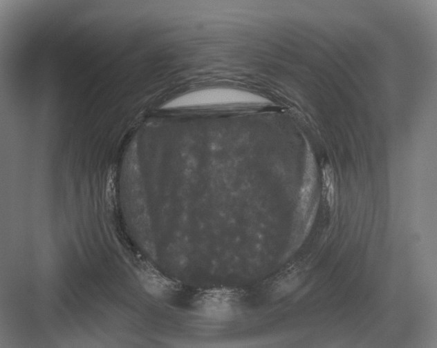 X0000082710127200702161825