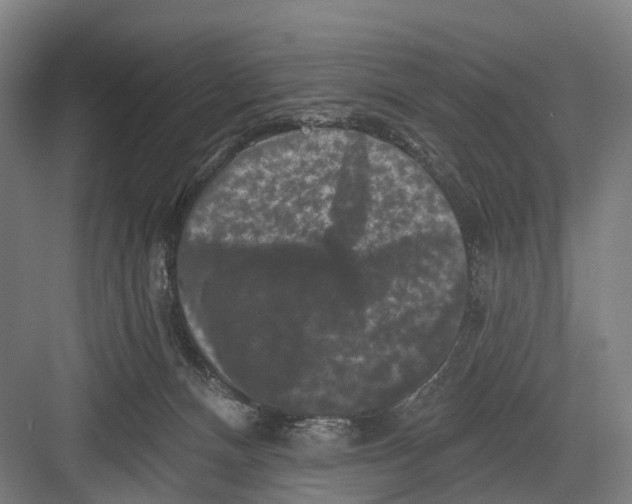 X0000082710128200702161825