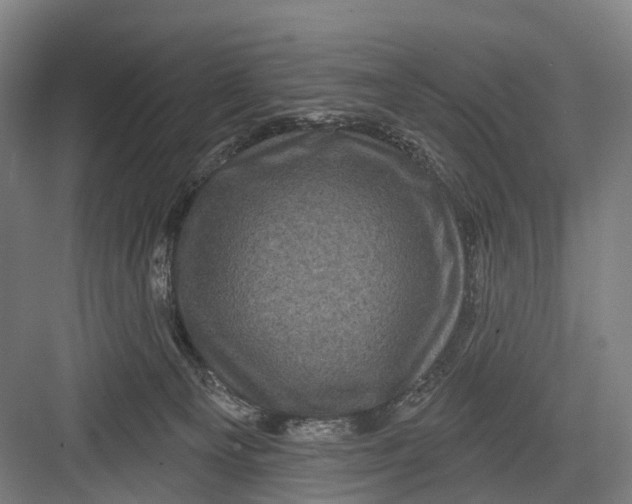 X0000082710129200702161825