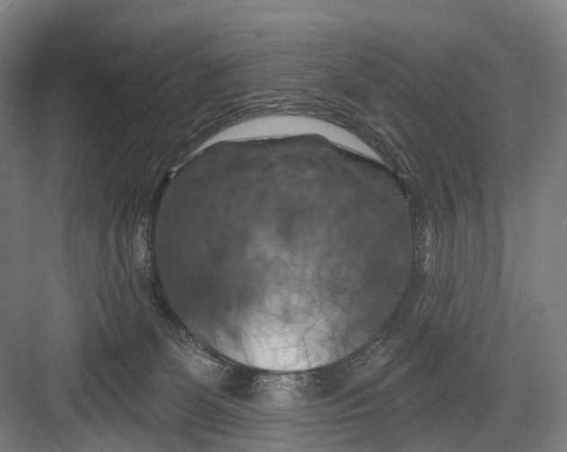 X0000082710131200702161825