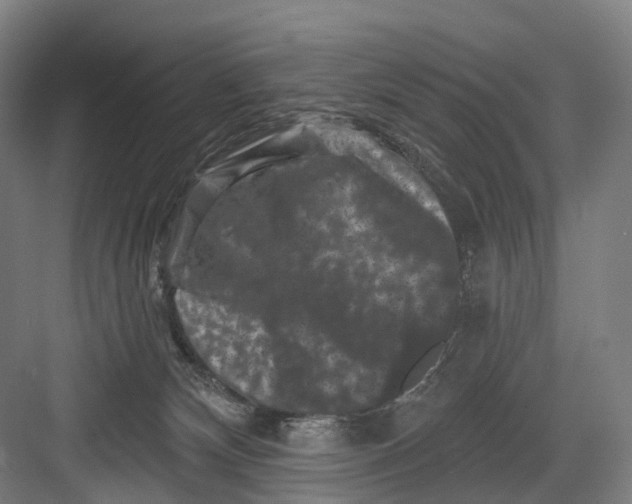 X0000082710132200702161825