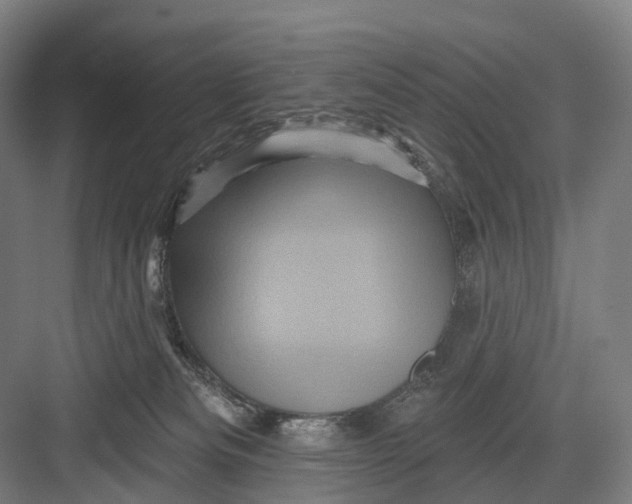 X0000082710133200702161825