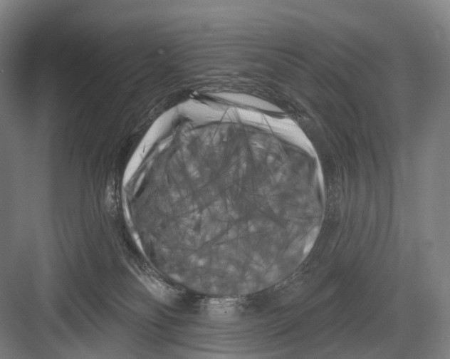 X0000082710134200702161825