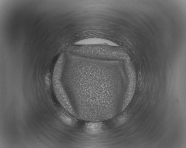 X0000082710135200702161825