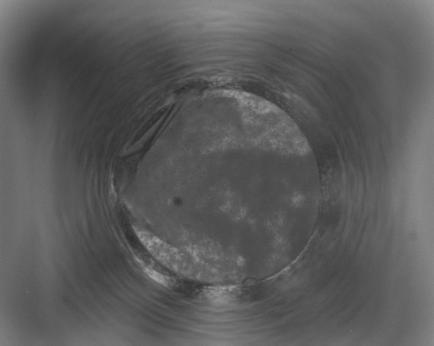 X0000082710136200702161825