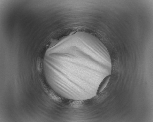 X0000082710138200702161825