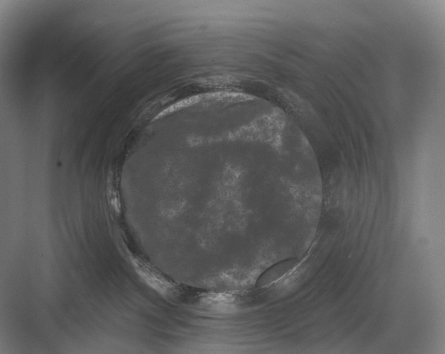 X0000082710140200702161825