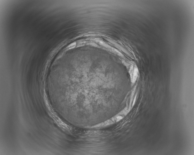 X0000082710145200702161824