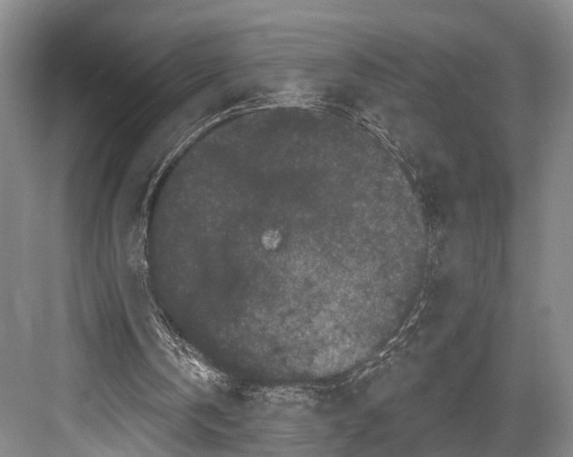 X0000082710146200702161824