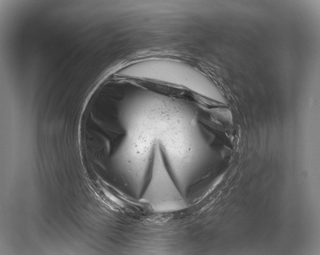 X0000082710148200702161824