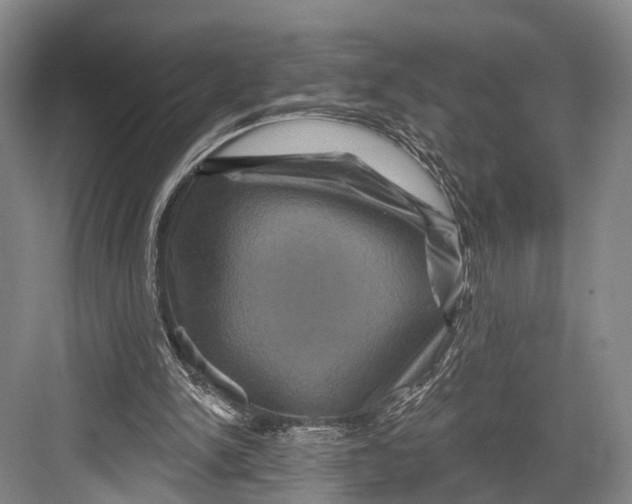 X0000082710150200702161824