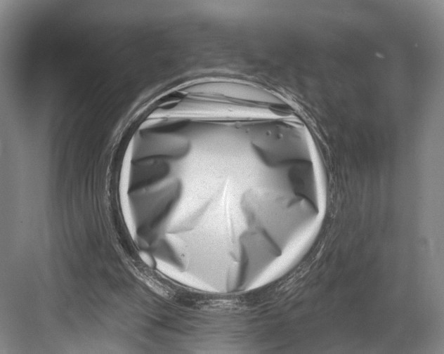 X0000082710151200702161824