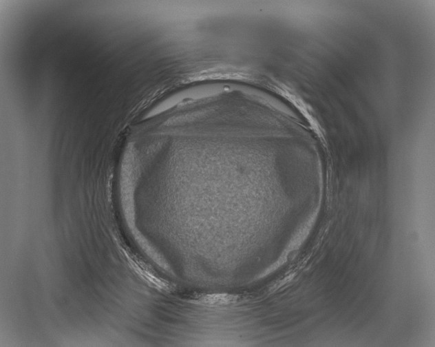 X0000082710153200702161824