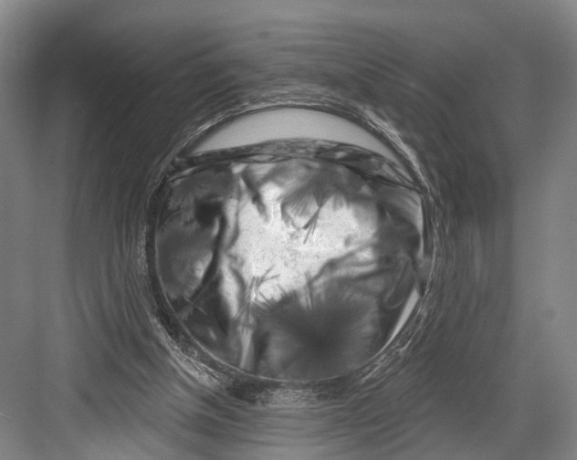 X0000082710154200702161824