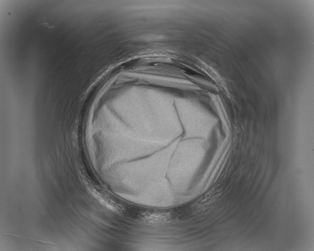 X0000082710155200702161824