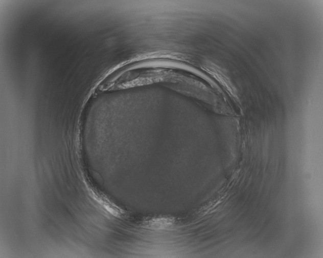 X0000082710156200702161824