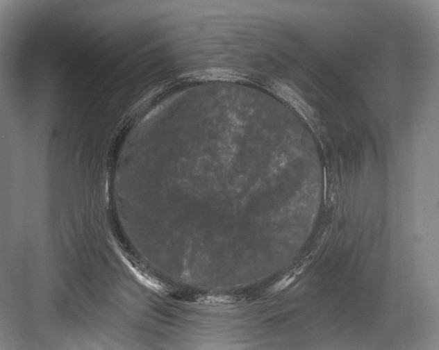 X0000082710157200702161824