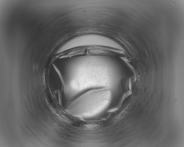 X0000082710158200702161824