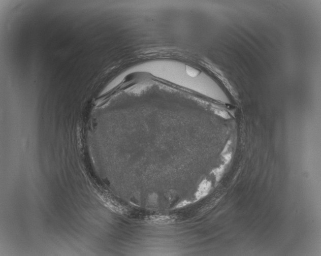 X0000082710161200702161825