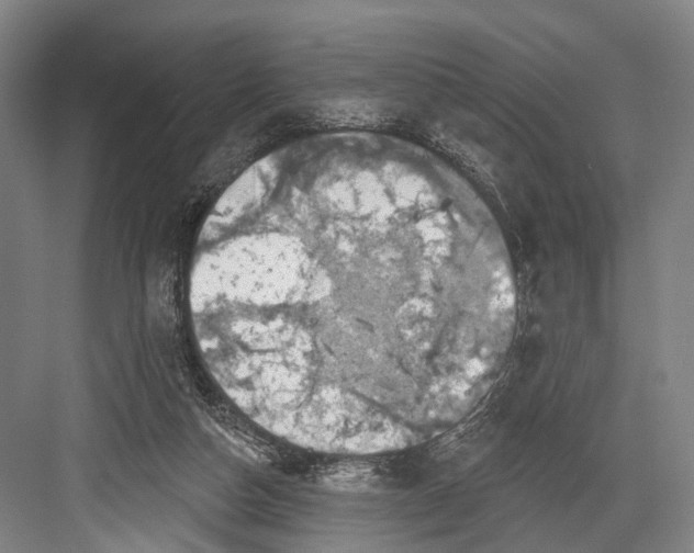 X0000082710162200702161825