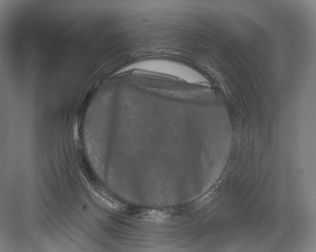 X0000082710166200702161825