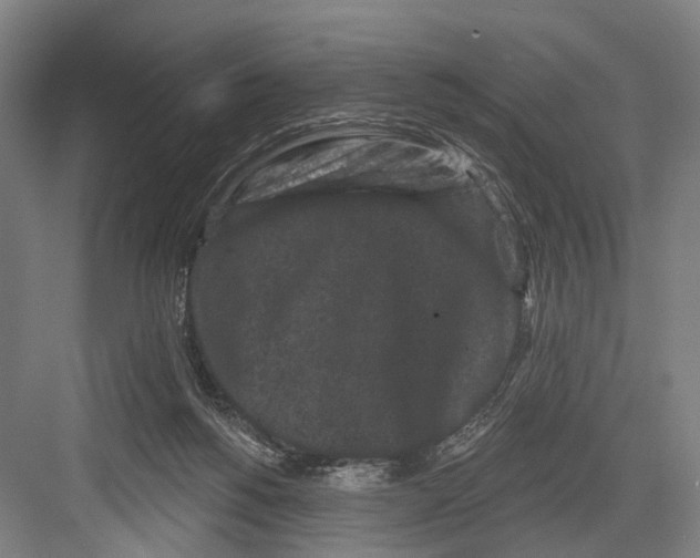 X0000082710168200702161825