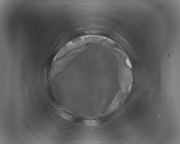 X0000082710169200702161825