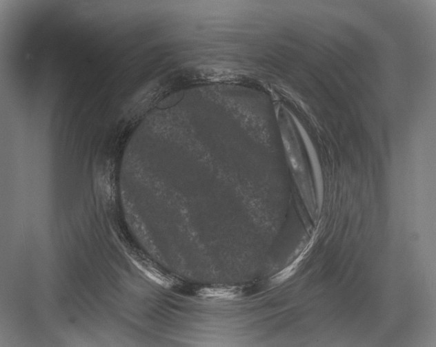 X0000082710170200702161825