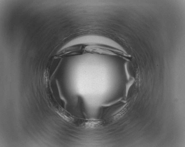 X0000082710172200702161825