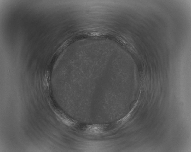 X0000082710174200702161825