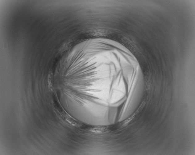 X0000082710175200702161825