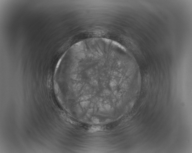 X0000082710177200702161825