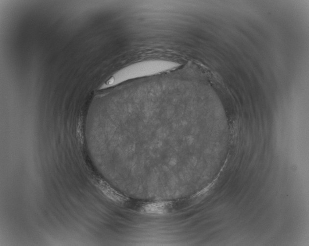 X0000082710178200702161825