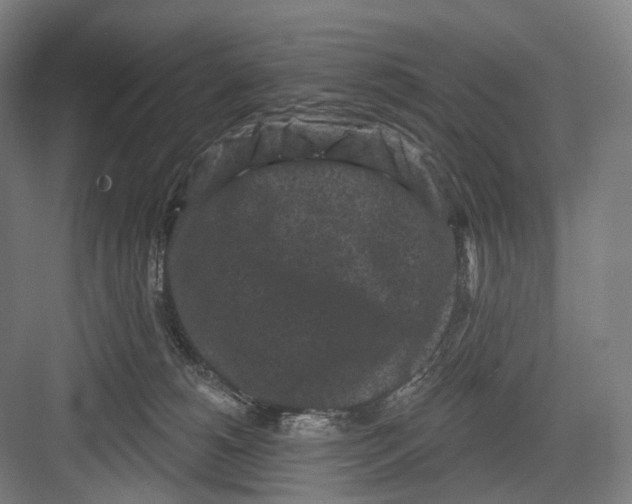 X0000082710180200702161825