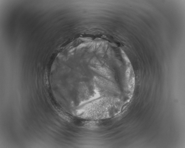 X0000082710182200702161825