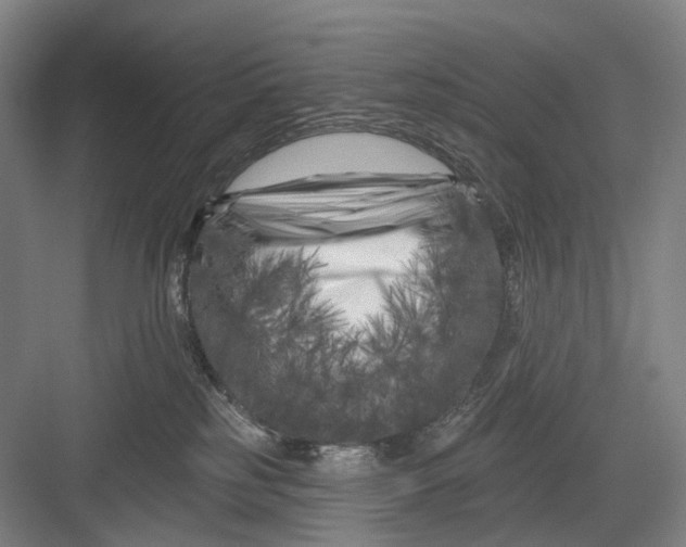 X0000082710185200702161825