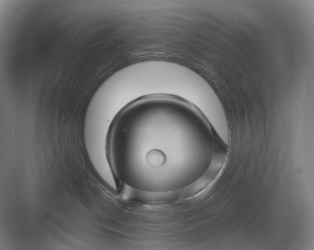 X0000082710190200702161825