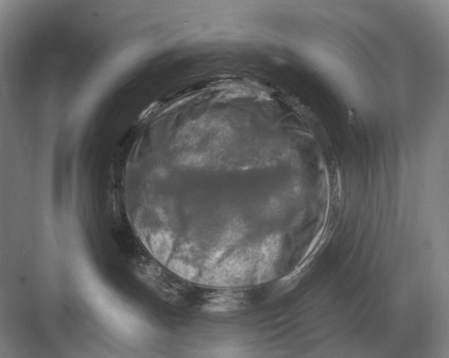 X0000082710191200702161825