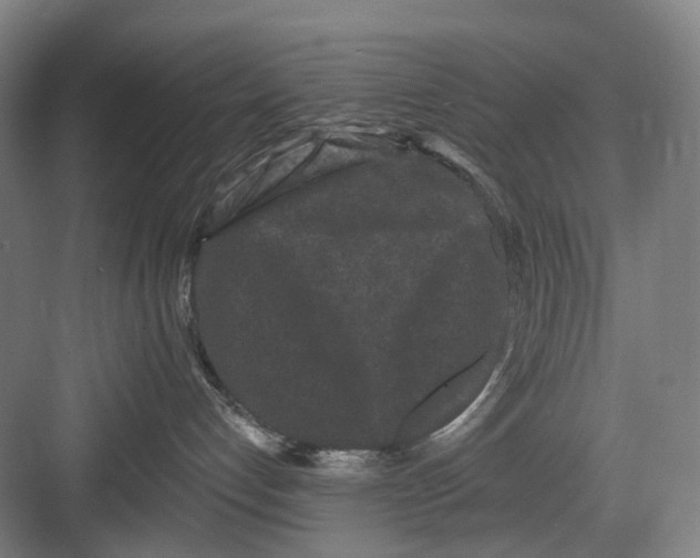 X0000082710192200702161825